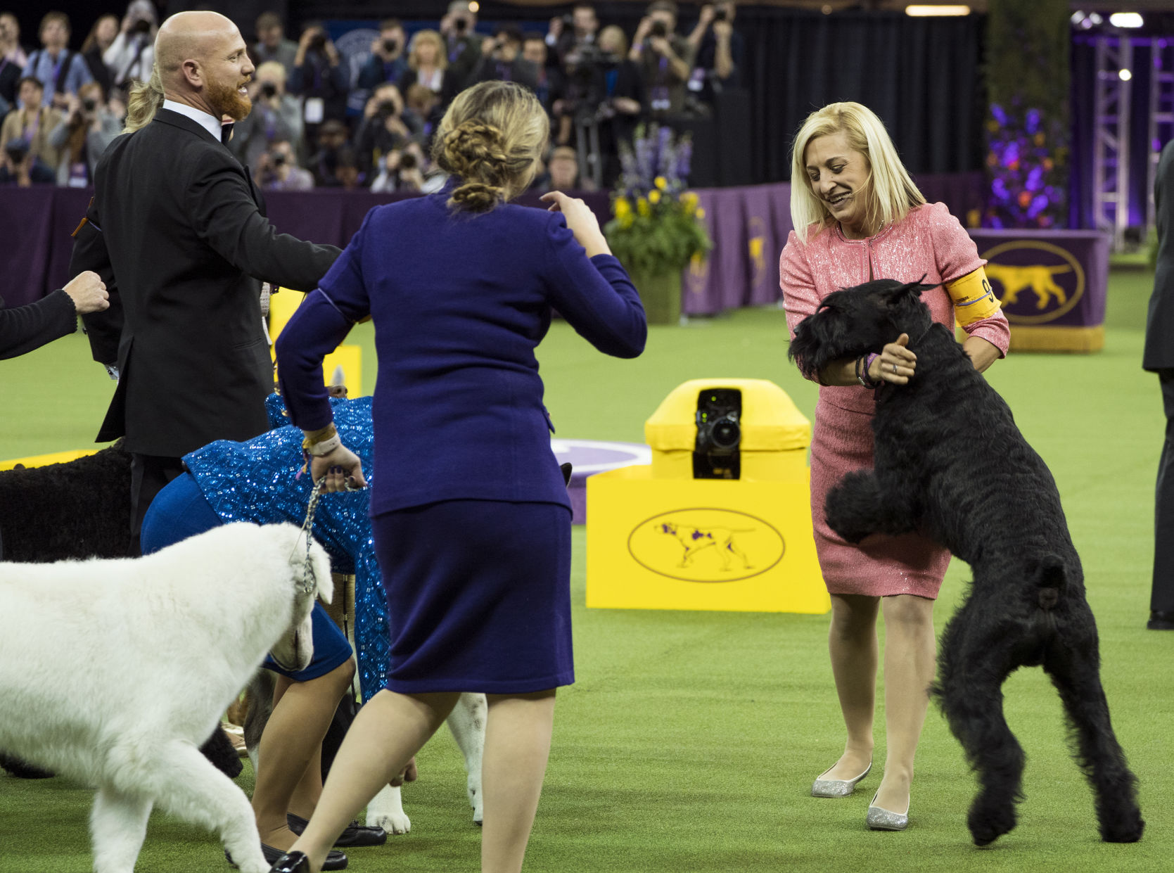 Westminster Dog Show